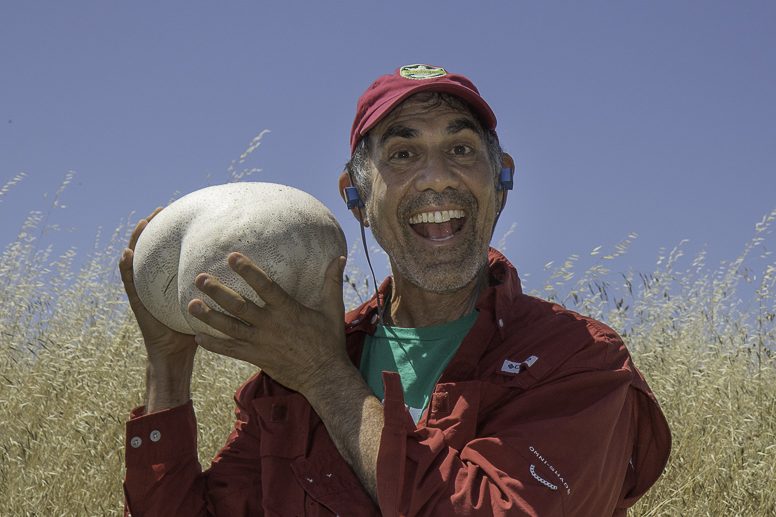 stanford dish 2019